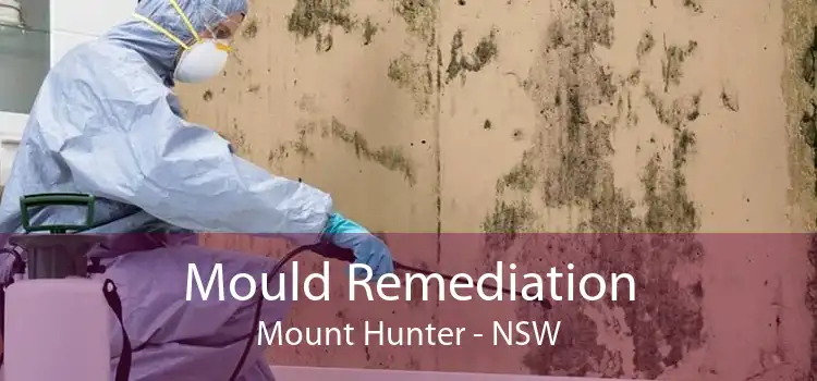 Mould Remediation Mount Hunter - NSW