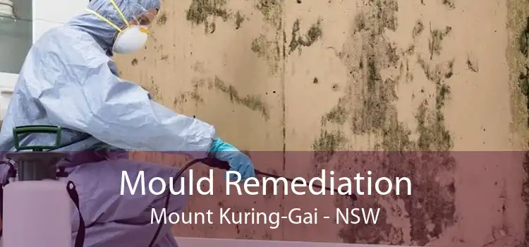 Mould Remediation Mount Kuring-Gai - NSW