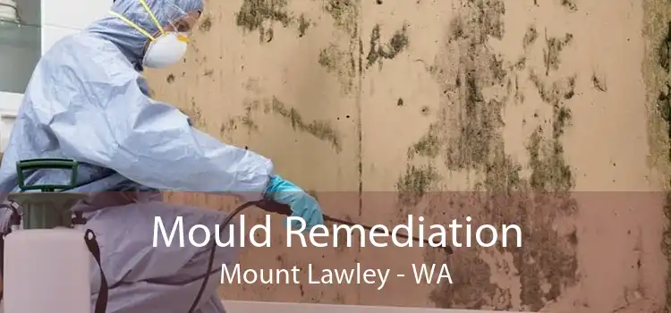 Mould Remediation Mount Lawley - WA