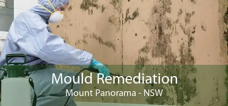 Mould Remediation Mount Panorama - NSW