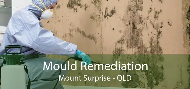Mould Remediation Mount Surprise - QLD