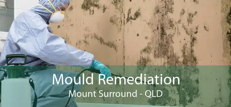 Mould Remediation Mount Surround - QLD