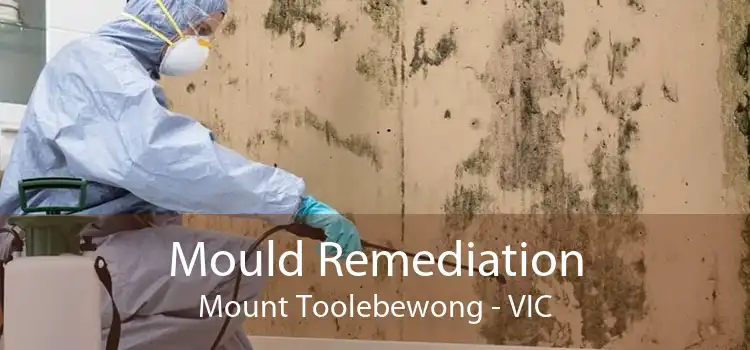 Mould Remediation Mount Toolebewong - VIC