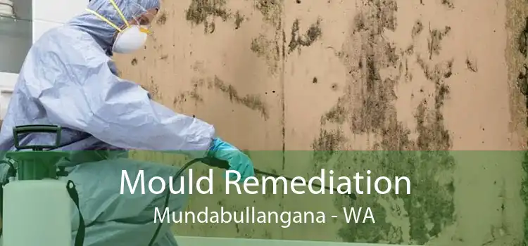 Mould Remediation Mundabullangana - WA