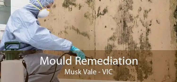 Mould Remediation Musk Vale - VIC