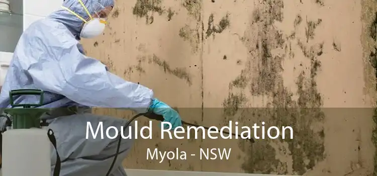Mould Remediation Myola - NSW