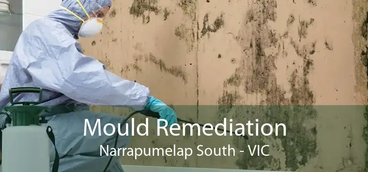 Mould Remediation Narrapumelap South - VIC
