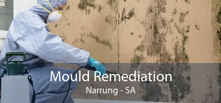 Mould Remediation Narrung - SA