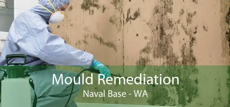 Mould Remediation Naval Base - WA
