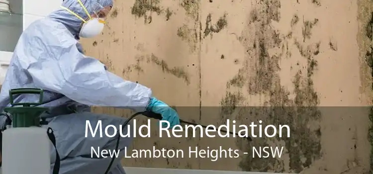 Mould Remediation New Lambton Heights - NSW