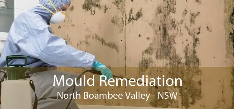 Mould Remediation North Boambee Valley - NSW