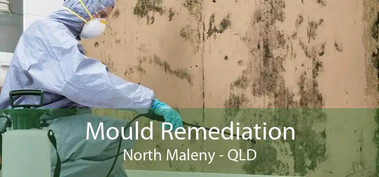 Mould Remediation North Maleny - QLD