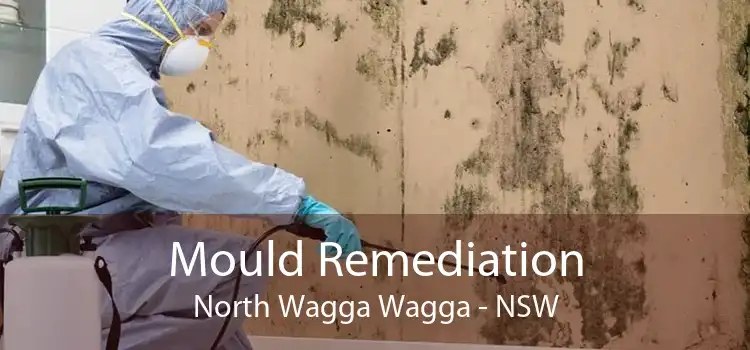 Mould Remediation North Wagga Wagga - NSW