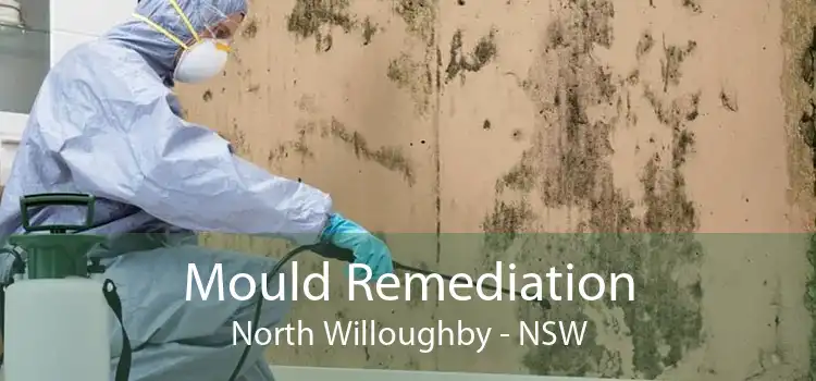 Mould Remediation North Willoughby - NSW