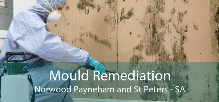 Mould Remediation Norwood Payneham and St Peters - SA