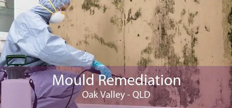 Mould Remediation Oak Valley - QLD