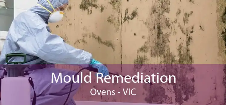 Mould Remediation Ovens - VIC