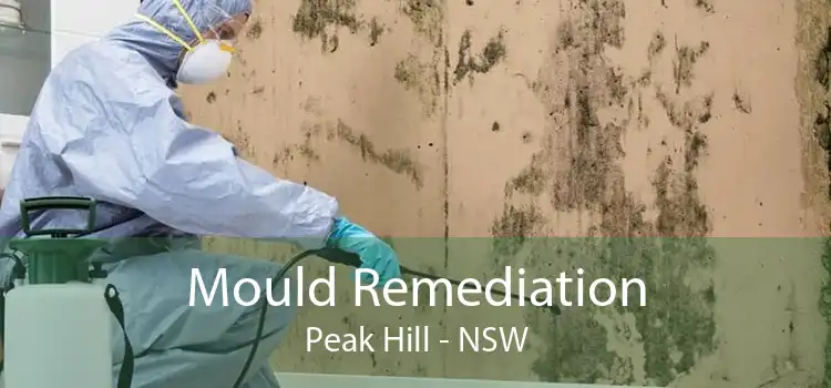 Mould Remediation Peak Hill - NSW