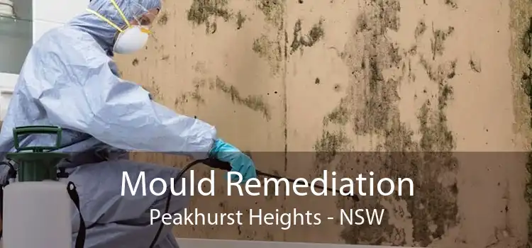 Mould Remediation Peakhurst Heights - NSW