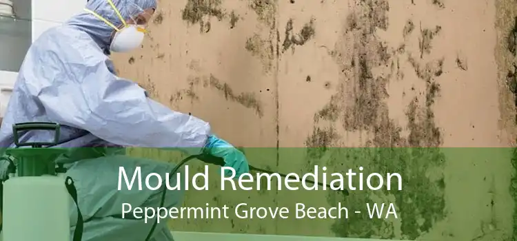 Mould Remediation Peppermint Grove Beach - WA