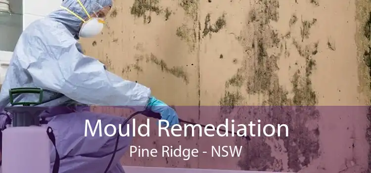 Mould Remediation Pine Ridge - NSW