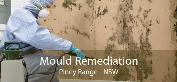 Mould Remediation Piney Range - NSW
