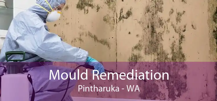 Mould Remediation Pintharuka - WA