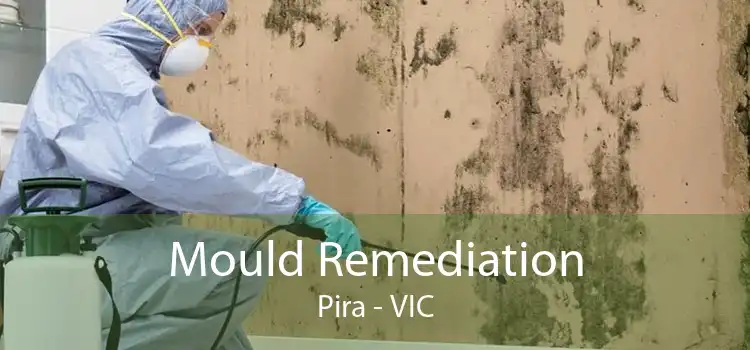 Mould Remediation Pira - VIC