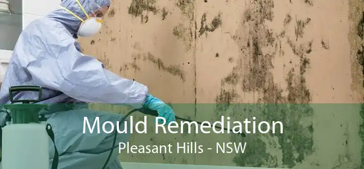 Mould Remediation Pleasant Hills - NSW