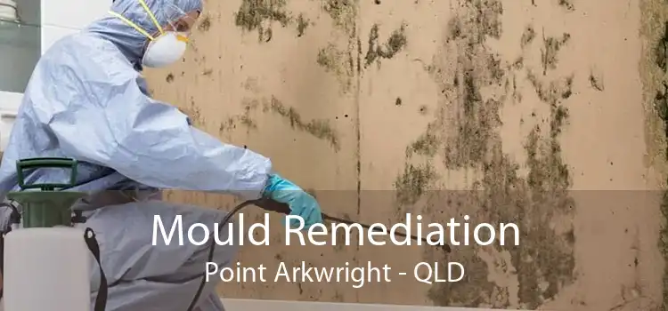 Mould Remediation Point Arkwright - QLD