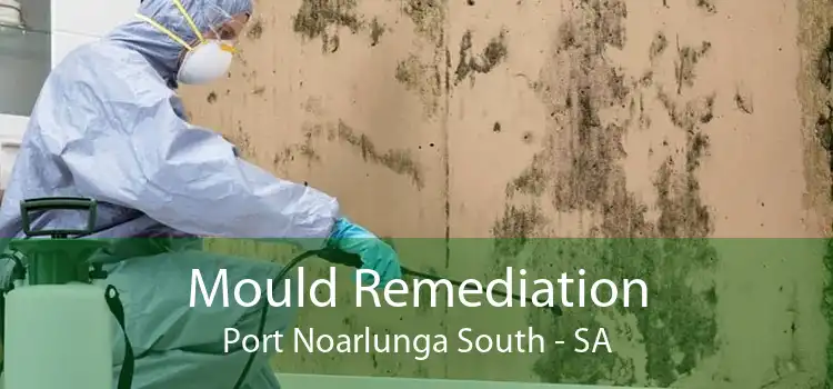 Mould Remediation Port Noarlunga South - SA