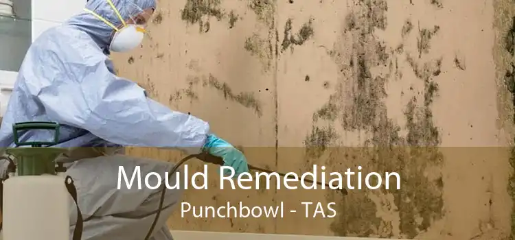 Mould Remediation Punchbowl - TAS