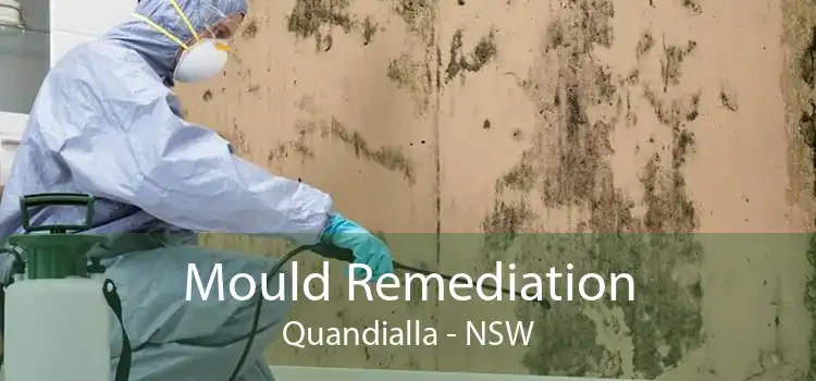 Mould Remediation Quandialla - NSW