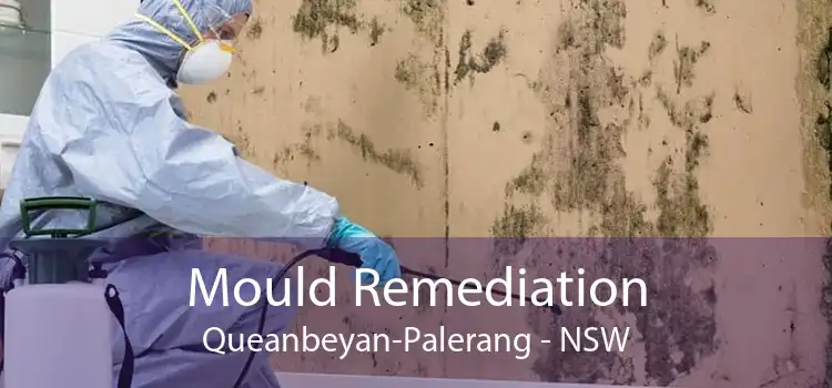 Mould Remediation Queanbeyan-Palerang - NSW