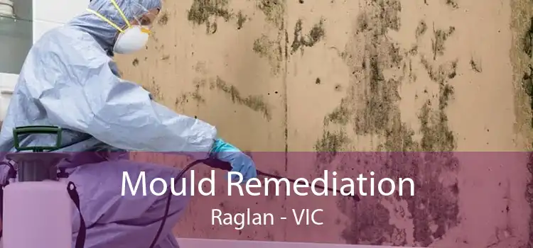 Mould Remediation Raglan - VIC