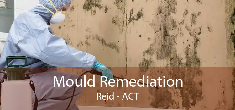 Mould Remediation Reid - ACT