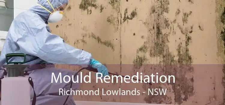 Mould Remediation Richmond Lowlands - NSW