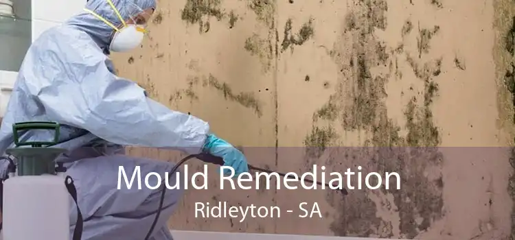 Mould Remediation Ridleyton - SA