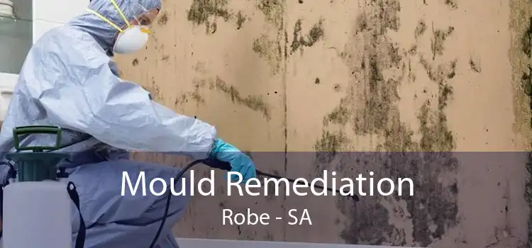 Mould Remediation Robe - SA