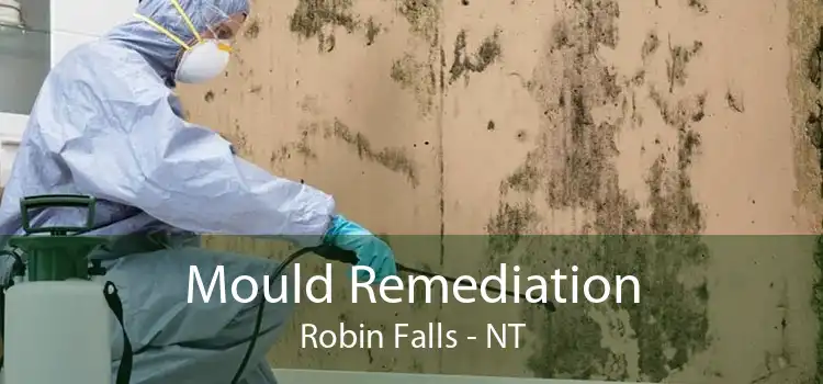 Mould Remediation Robin Falls - NT