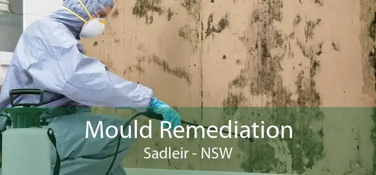 Mould Remediation Sadleir - NSW