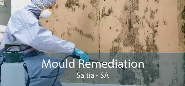 Mould Remediation Saltia - SA