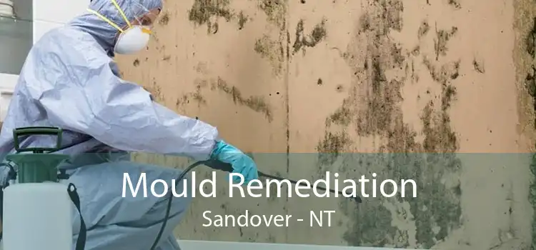 Mould Remediation Sandover - NT