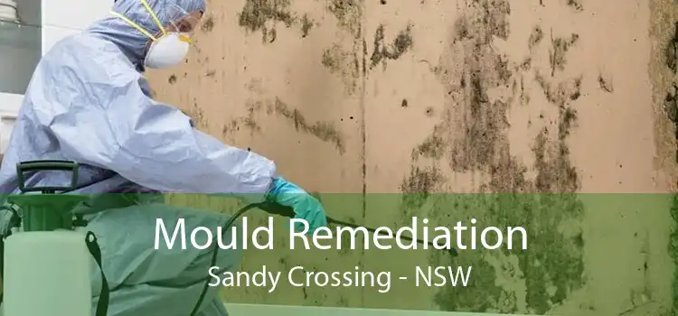 Mould Remediation Sandy Crossing - NSW