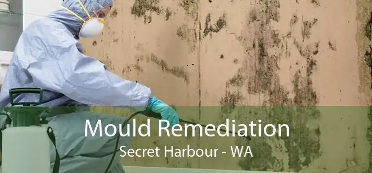 Mould Remediation Secret Harbour - WA