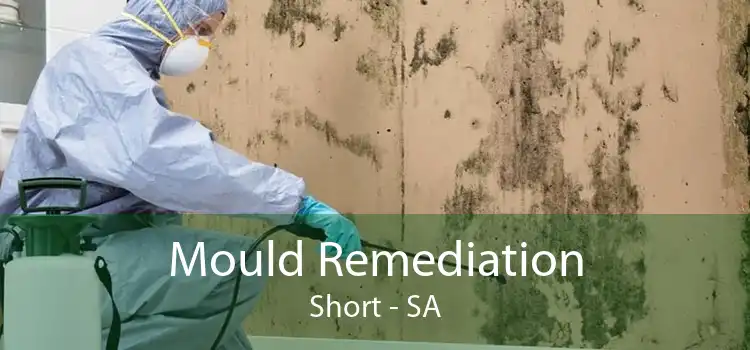 Mould Remediation Short - SA