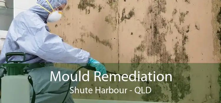 Mould Remediation Shute Harbour - QLD