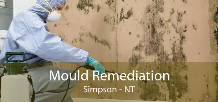 Mould Remediation Simpson - NT