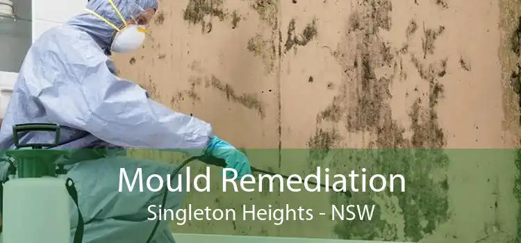 Mould Remediation Singleton Heights - NSW