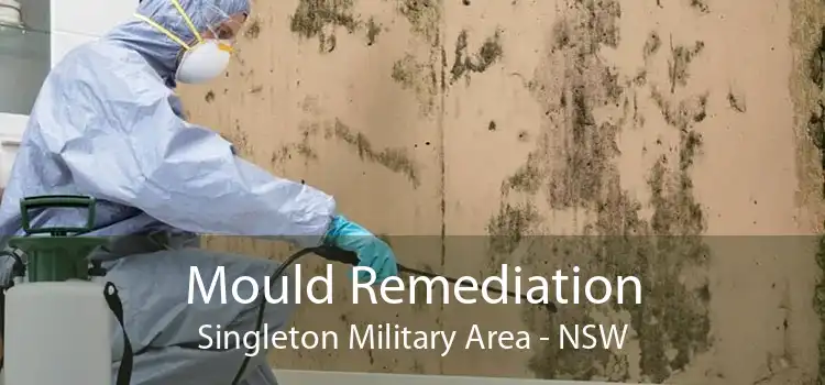 Mould Remediation Singleton Military Area - NSW